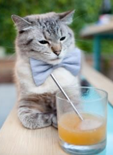 爆冷之夜！马里2-1粉碎马竞神话，加克波一战封神