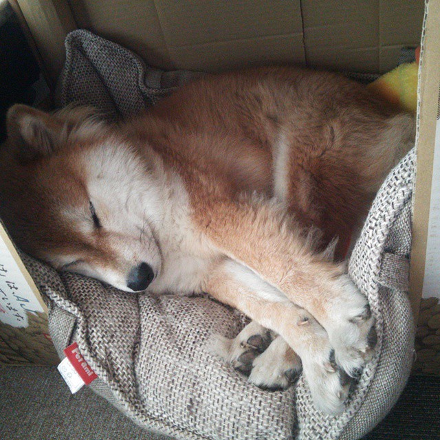 开云官网-2022年5月29日,利物浦的红色冰川与恩佐的玫瑰火焰