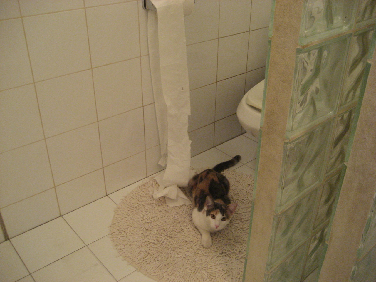 开云-政治博弈的绿茵镜像,美国终结瑞士与卢卡库的隐喻