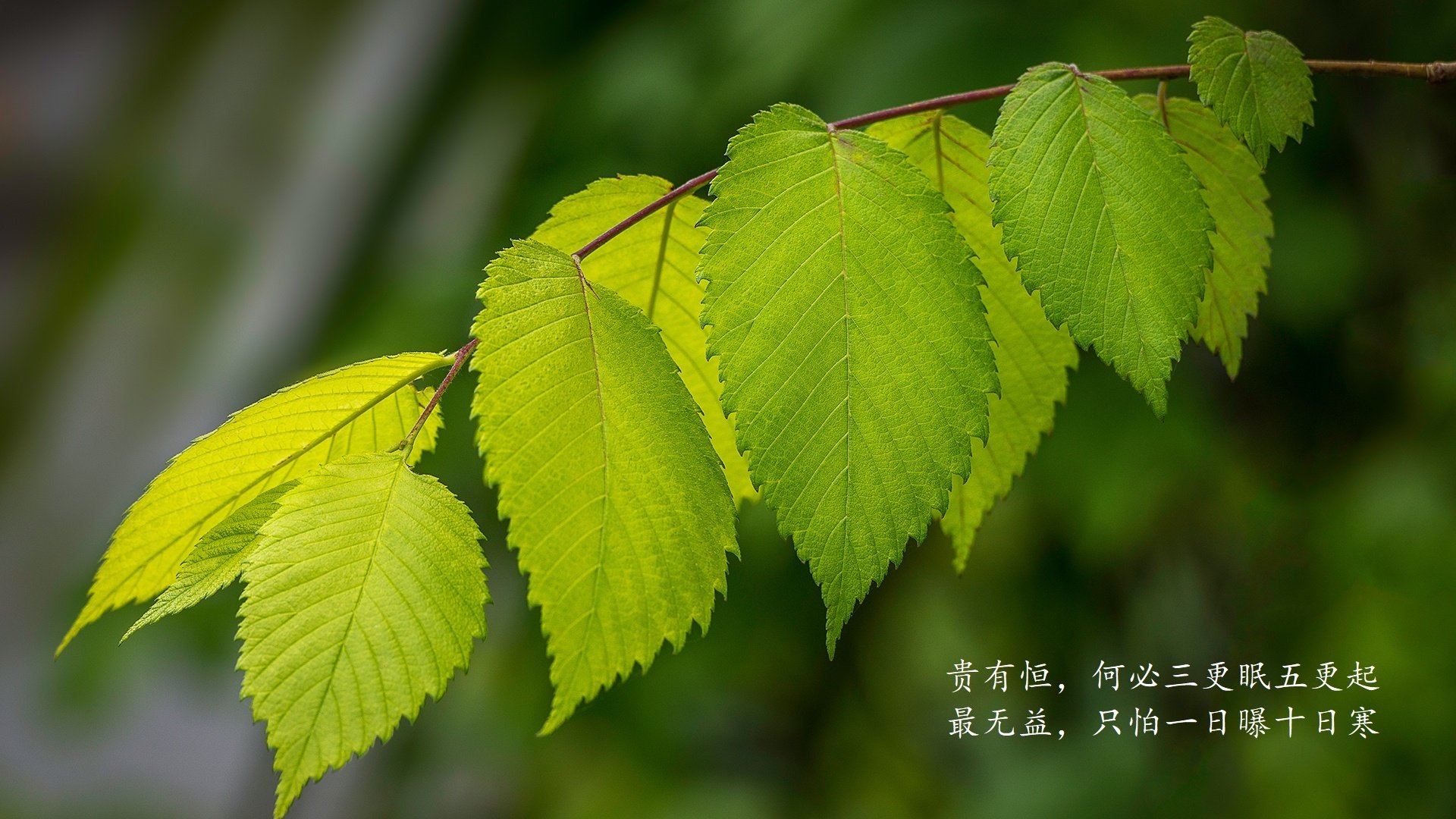 破碎的标签，加维的加时怒吼与哥斯达黎加的冷雨逆袭