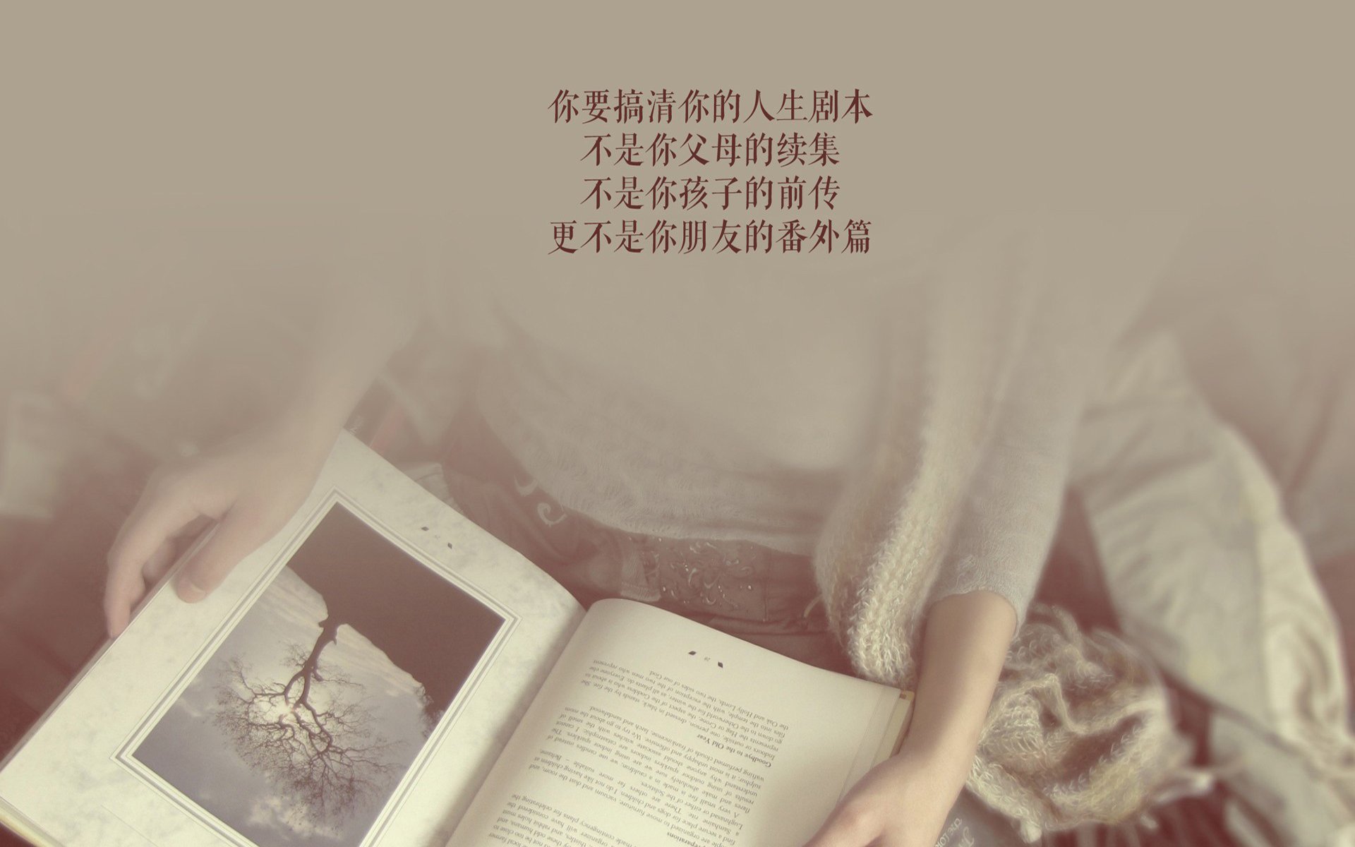 开云平台-安菲尔德收割夜，当波兰的镰刀遇上卡马文加的缝合线，利物浦的唯一败局